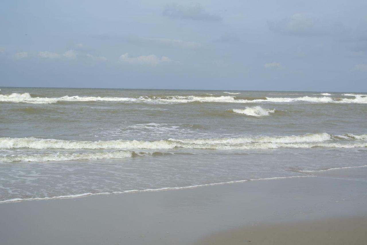 Studio Heli Daire Zandvoort Dış mekan fotoğraf